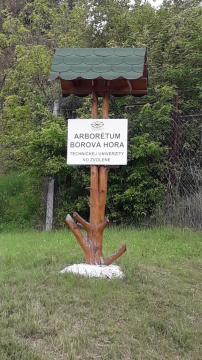Zvolen Zvolen