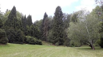 Zvolen Zvolen