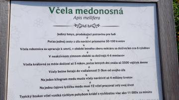 Smolenický zámok,jaskyňa Driny Smolenický zámok,jaskyňa Driny