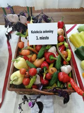 Výstava plodov a záhrad Výstava plodov a záhrad